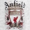 fcliverpoolterekk